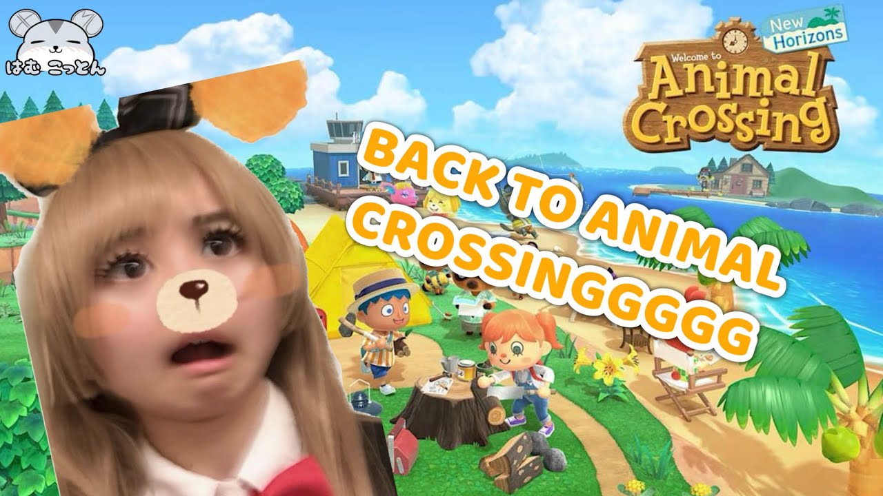 Back to Animal Crossing~【Hamu Stream 82】