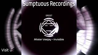 Mister Veejay - Webstrings