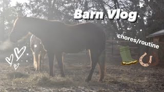 My Daily Barn Chores/Routine ~ Mucking, Feeding, & Grooming | Barn Vlog