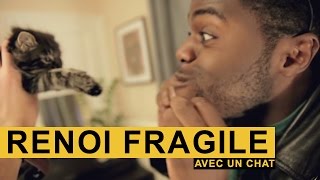 Un chat rend ce renoi FRAGILE - EXTRA N°2