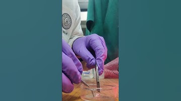 Biomechanics Lab @ IIT Delhi, Applied Mechanics Department