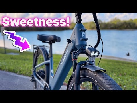 Puckipuppy Poodle Commuter E-bike Review | I Can't Find Anything Negative!