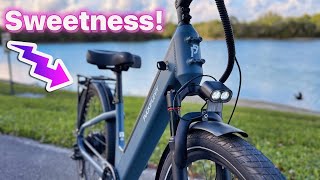Puckipuppy Poodle Commuter E-bike Review | I Can't Find Anything Negative!