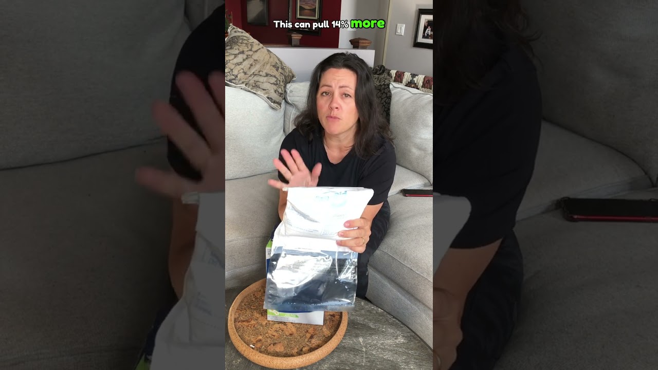 DampRid Fresh Scent Review: Beat Moisture & Musty Odors! 