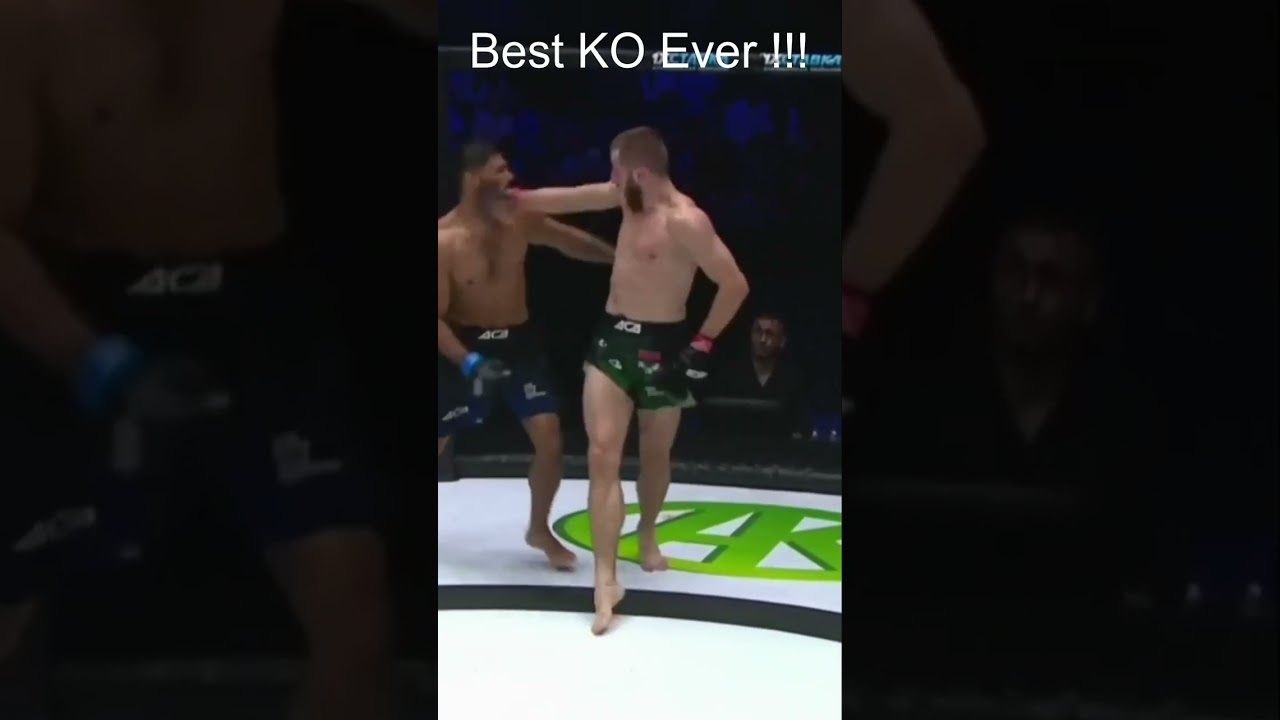 Spinning Backfist KO I 2023  