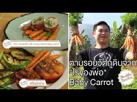 ตามรอยวัตถุดิบจาก "ไร่ของพ่อ" Baby Carrot Healthy Fine day [by Mahidol]