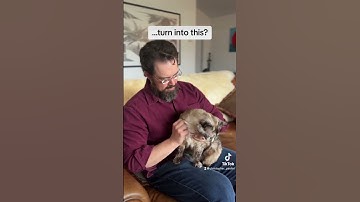 How did hours of writing and re-writing turn into #MURTAGH?