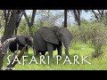 Сафари парк Микуми, Танзания. Mikumi National Park Tanzania safaris.