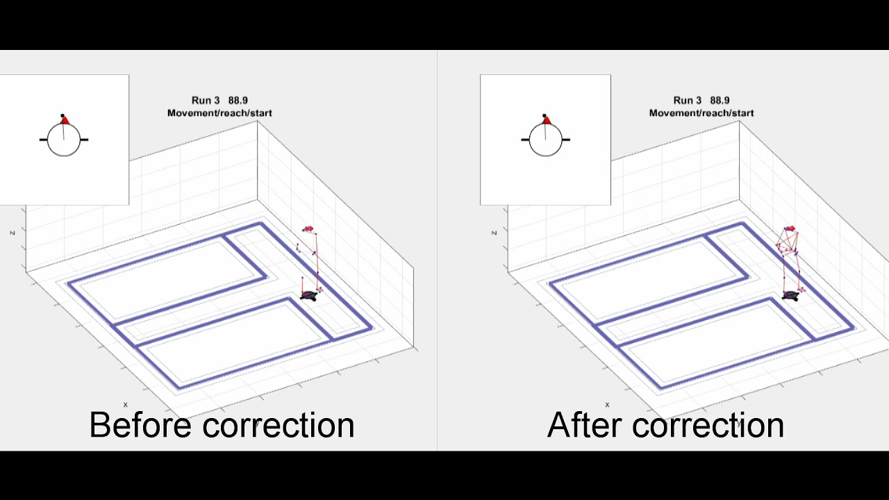 The AudioMaze motion capture movie