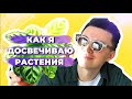 Подсветка для Комнатных Растений » Светильники IKEA и LED лампы