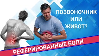 МОЖЕТ ЛИ БОЛЬ ИЗ ПОЗВОНОЧНИКА ОТДАВАТЬ В ЖИВОТ?