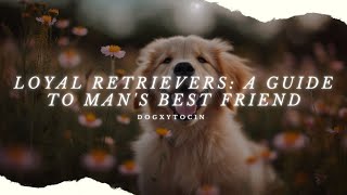 Retriever Breeds 101: Discover Which One Fits Your Lifestyle by Dogxytocin 828 views 1 year ago 8 minutes, 29 seconds