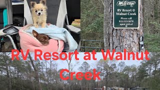 Resort at Walnut Creek in Waller, TX