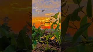 Ka Pahla Barish Ye..