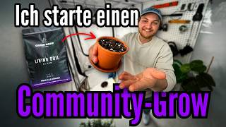Ihr bestimmt den Grow! - Community Grow 2026 by GREEN NODE I #communitygrow