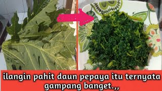 cara merebus daun pepaya