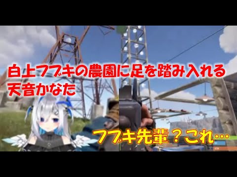 白上フブキの農園に足を踏み入れる天音かなた【天音かなたホロライブ切り抜き】
