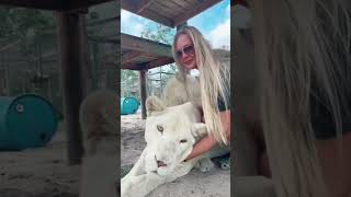 White Lion Kisses & Cuddles Amazing