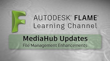 MediaHub Updates - Flame 2017