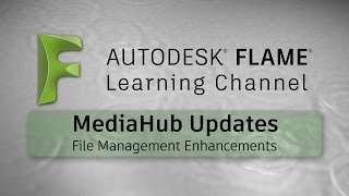 MediaHub Updates - Flame 2017