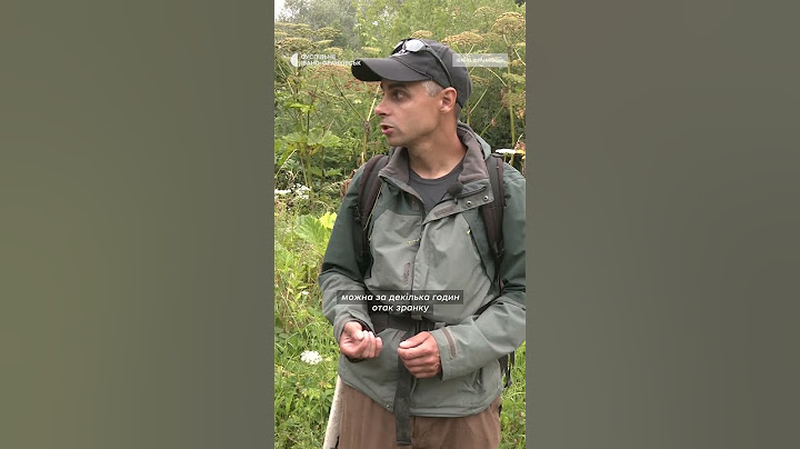 Як вичистити Бистрицю Солотвинську від борщівника розповідає Андрій Медвідь