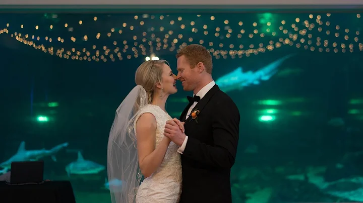 Weddings at Loveland Living Planet Aquarium