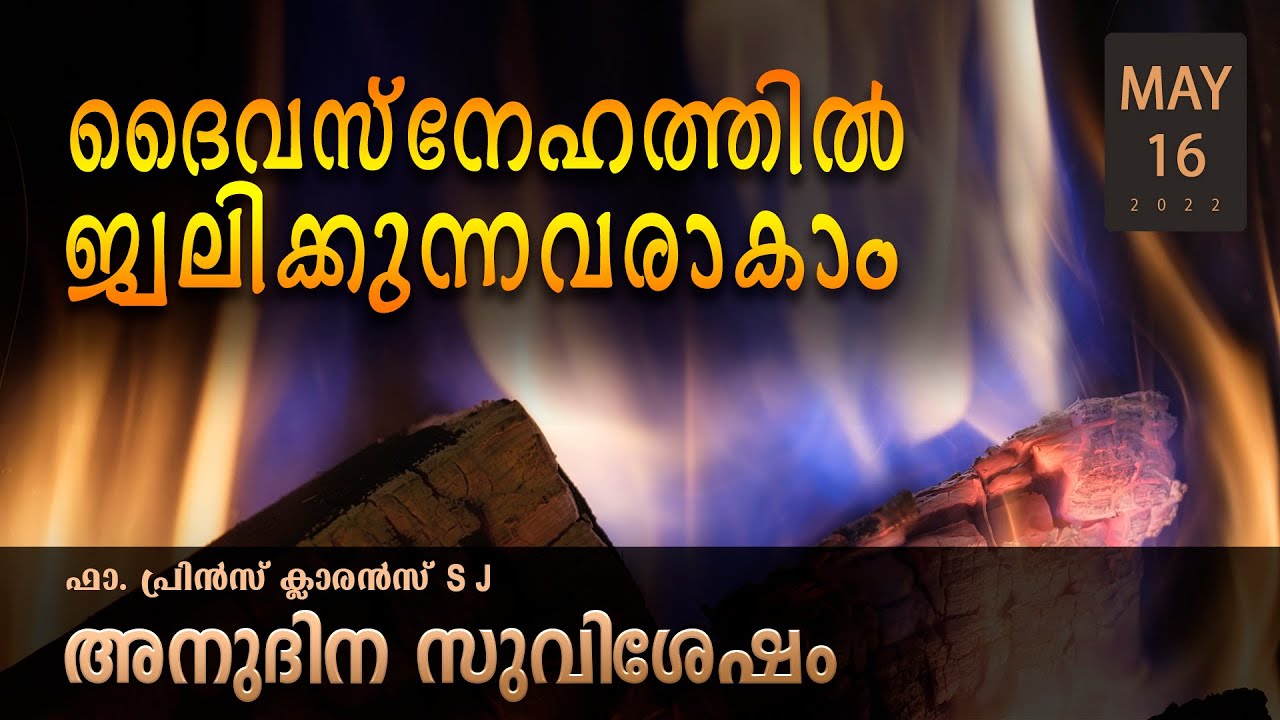 ദൈവസ്നേഹത്തിൽ ജ്വലിക്കുന്നവരാകാം l May16 I Daily Gospel l Malayalam Talk I Fr. Prince Clarence SJ