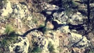 Climbing On Kablar Trailer