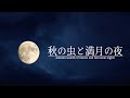 秋の虫と満月の夜 6時間｜田舎の自然音ASMR・睡眠用BGM｜Autumn Insects on a Full Moon Night (6 Hours)