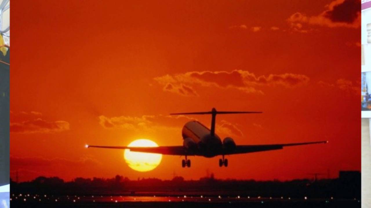 Отзыв о Love English Club. Май 2016.