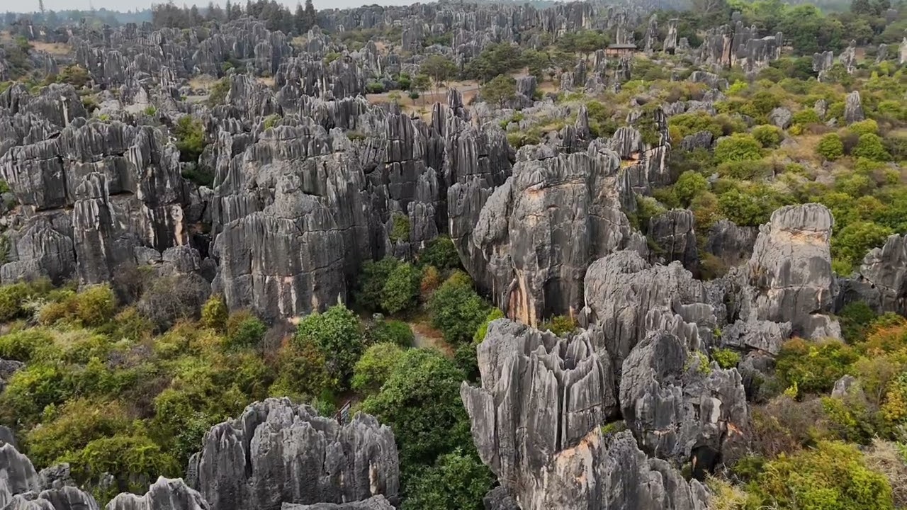 Unique Landschap: Stone Forest in Yunnan China 