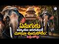 "ఈ ఏనుగుకు అన్యాయం జరుగుతుంటే చూస్తూ ఊరుకోలేం" - సుప్రీంకోర్టు! #supremecourt #elephant #kerala