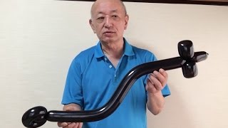 #0025 鰻 a balloon eel