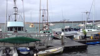 The scene at Morro Bay Harbor