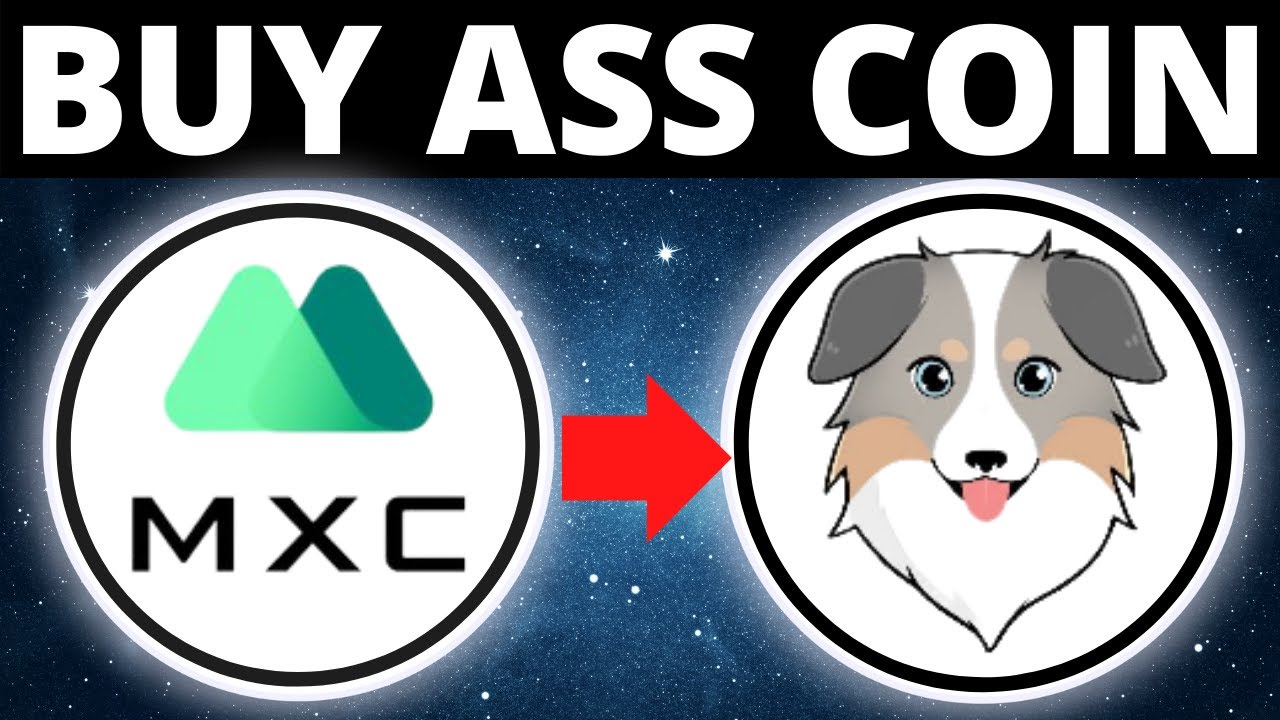 How To Buy Australian Safe Shepherd Coin ASS Token On MXC Exchange