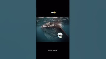 AVERAGE CREATINE USER DAILY ROUTINE... #remix #music #gymrat #trending