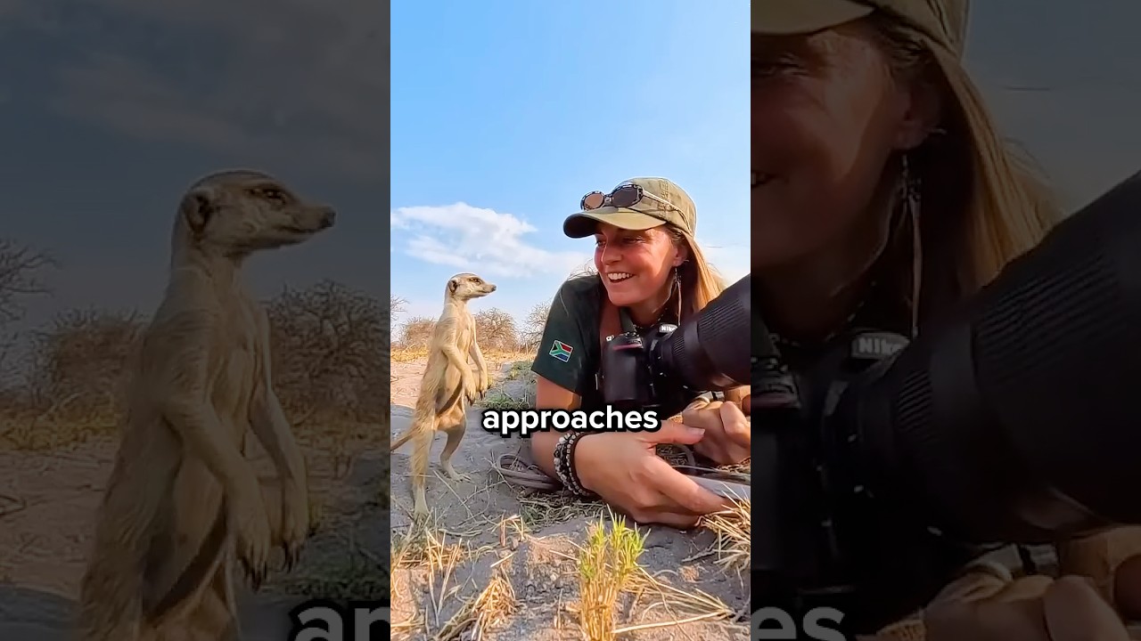 Why Photographers Can't Touch Wildlife