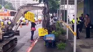 松菸護樹 Songyan Tree Huggers Midnight Rock