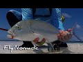 Trevally Fly Fishing Maldives