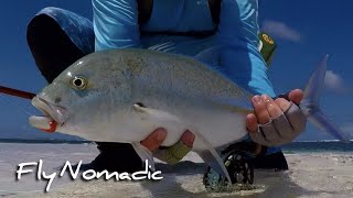 Trevally Fly Fishing Maldives