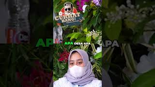 Download Lagu Fantasi Sedarah , awal mula kejadian SC : Deny sumargo #podcast#sedarah MP3