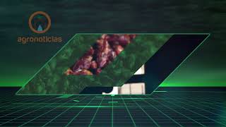 TITULARES AGRONOTICIAS PROGRAMA 448