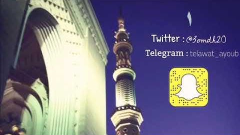 ذكريات من أجمل تلاوات الشيخ محمد أيوب رحمه الله بالحرم النبوي (١٤١٦هـ) من سورة البقرة