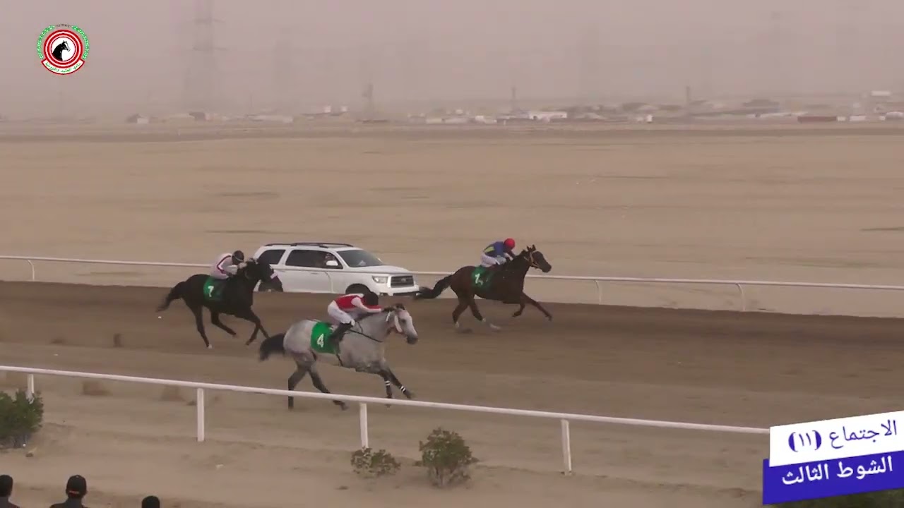 الاجتماع 11 الشوط الثالث الجواد اطوال لاسطبل الفراج