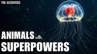 Celebrity 10 Animals With Powers That Defy Science Profile