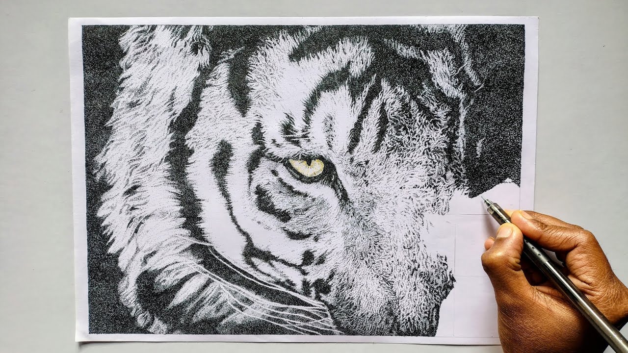 Stippling Art #21 | Realistic Drawing of a Tiger step by step | Animal Portrait | Pen Art Work