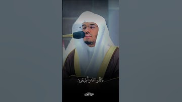 {إن الله هو ربي وربكم فاعبدوه هذا صراط مستقيم} تلاوة تحبيرية خاشعة لياسرالدوسري #ياسر_الدوسري #خشوع