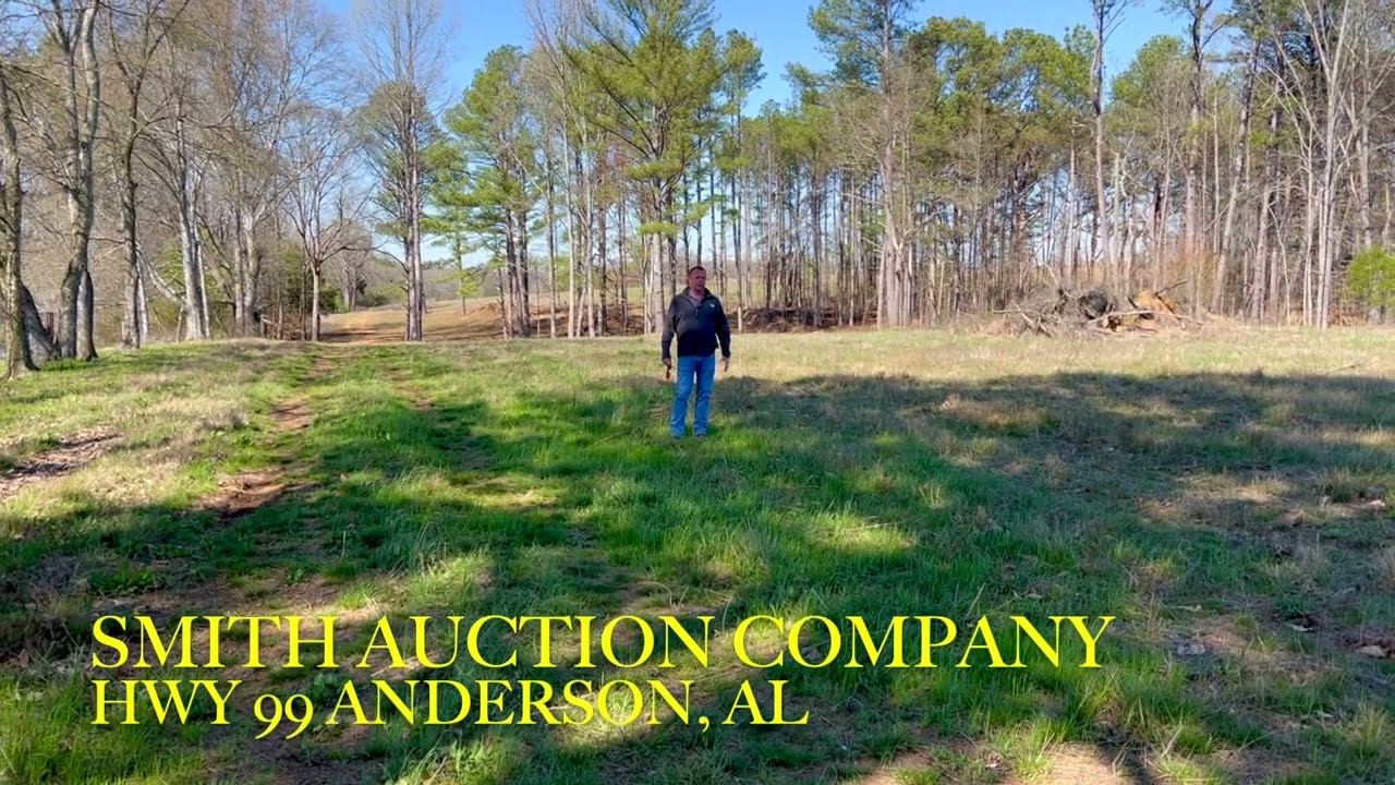 HWY 99 - Smith Auction Video