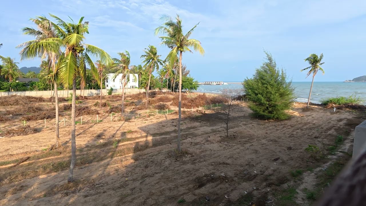 OUR WAKE UP VIEW in THAILAND Palm trees, Waves and Beach Relaxing Scene Traveling Nature Sounds