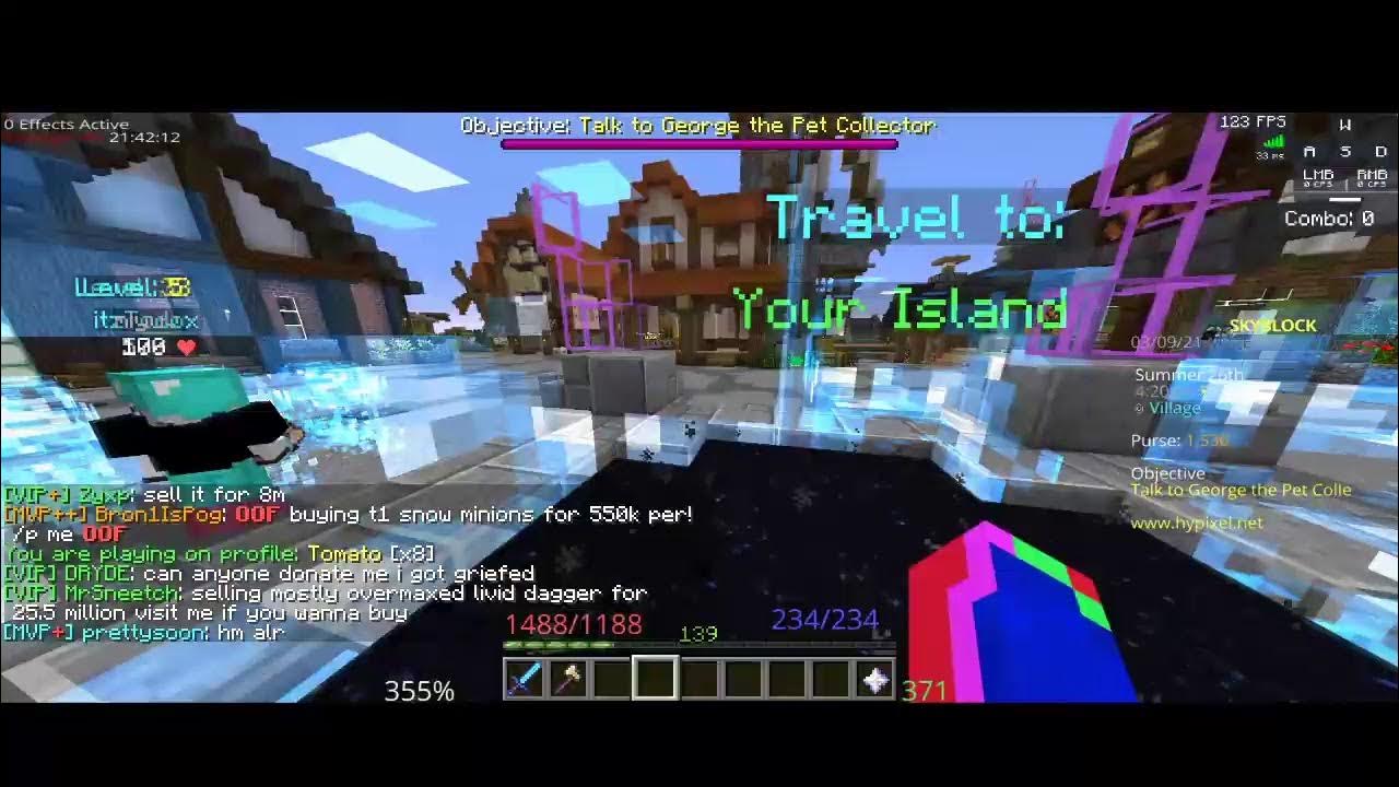 getting legendary grandma wolf pet (Hypixel skyblock solo) YouTube